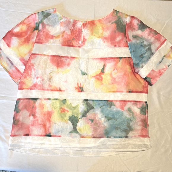 (L) NWT WORTHINGTON FLORAL SHEER STRIPED TOP SHORT SLEEVE - Picture 2 of 11
